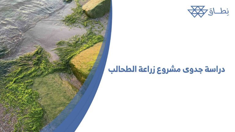 دراسة جدوى مشروع زراعة الطحالب