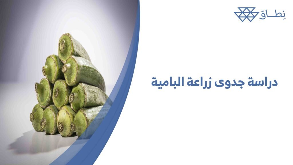دراسة جدوى زراعة البامية