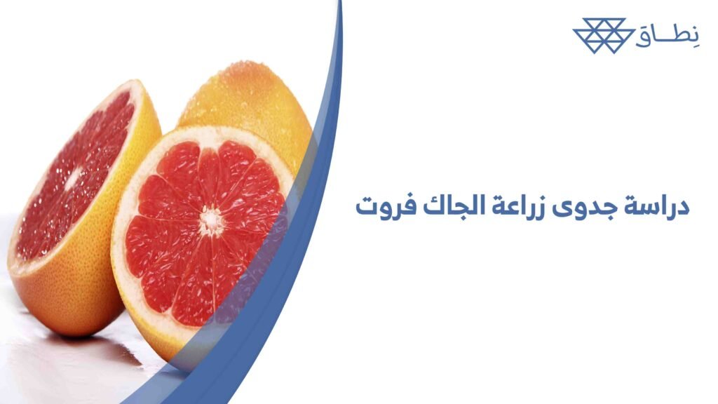 دراسة جدوى زراعة الجاك فروت