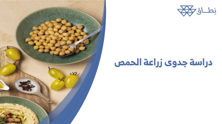 دراسة جدوى زراعة الحمص