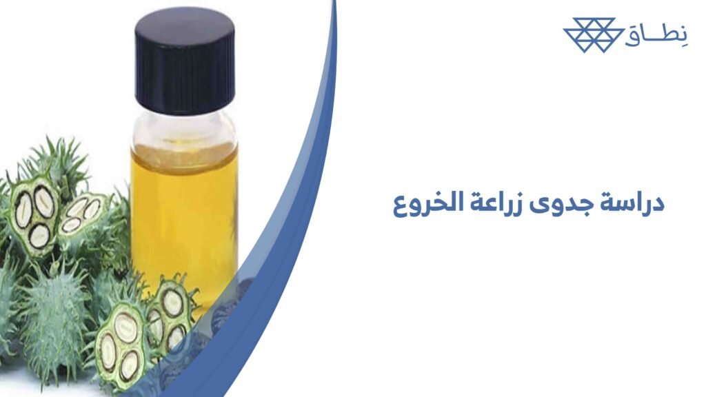 دراسة جدوى زراعة الخروع