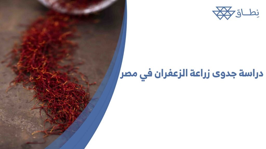 دراسة جدوى زراعة الزعفران في مصر