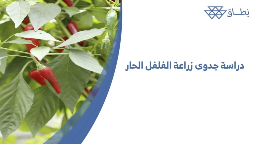 دراسة جدوى زراعة الفلفل الحار