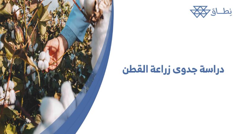 دراسة جدوى زراعة القطن