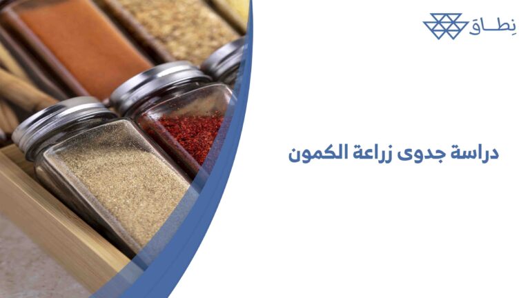  دراسة جدوى زراعة الكمون