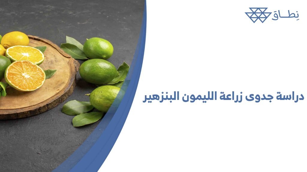 دراسة جدوى زراعة الليمون البنزهير