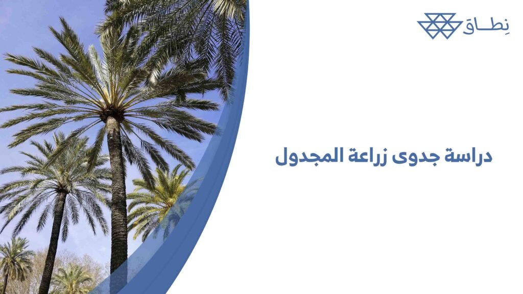 دراسة جدوى زراعة المجدول