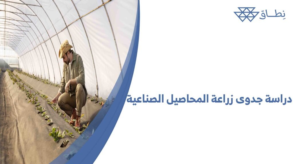 دراسة جدوى زراعة المحاصيل الصناعية