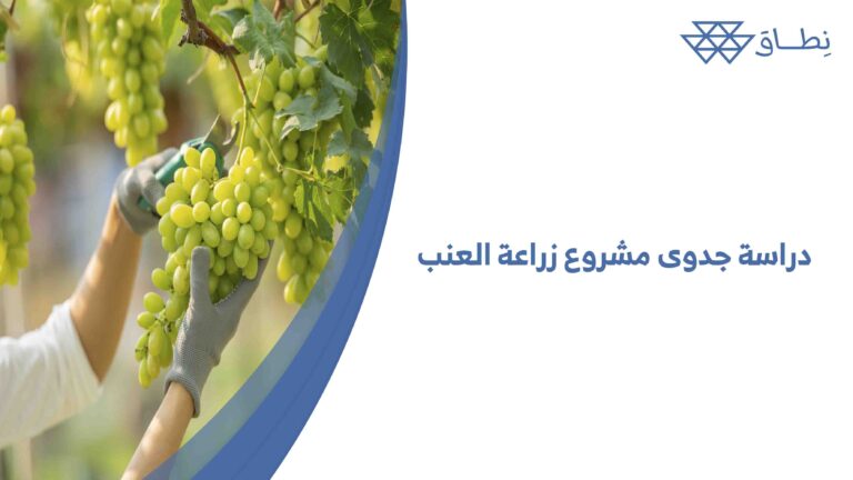 دراسة جدوى مشروع زراعة العنب