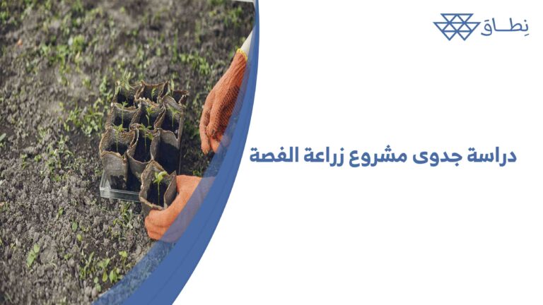 دراسة جدوى مشروع زراعة الفصة