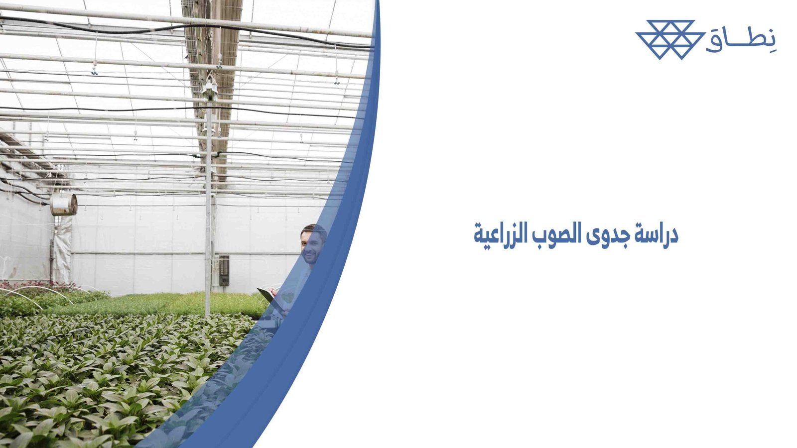 دراسة جدوى الصوب الزراعية