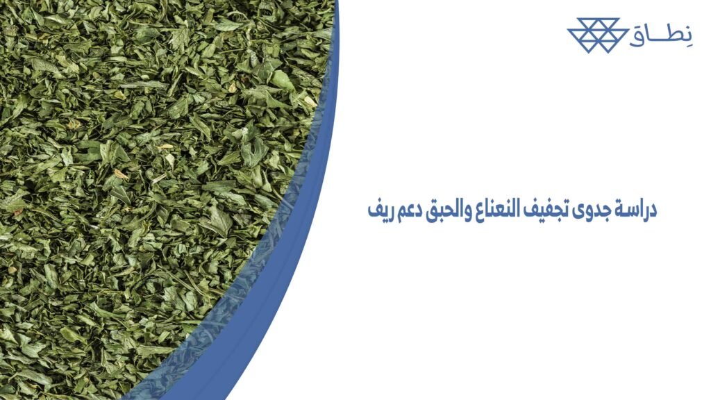 دراسة جدوى تجفيف النعناع والحبق دعم ريف