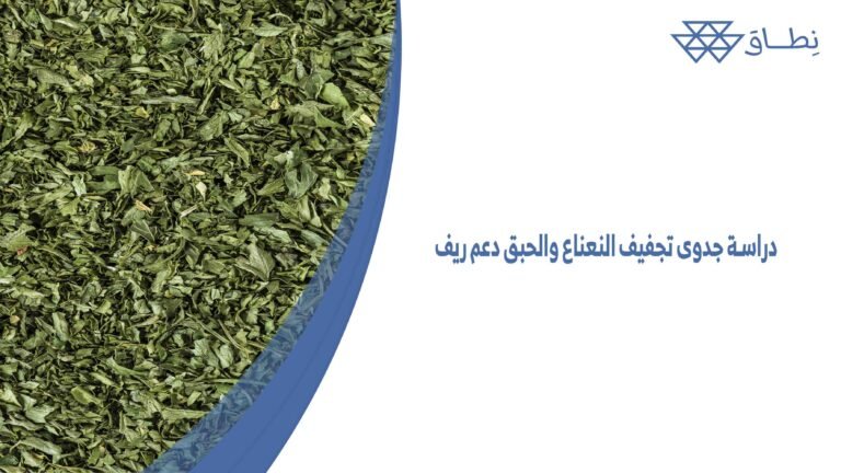 دراسة جدوى تجفيف النعناع والحبق دعم ريف