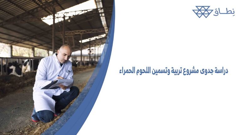 دراسة جدوى مشروع تربية وتسمين اللحوم الحمراء