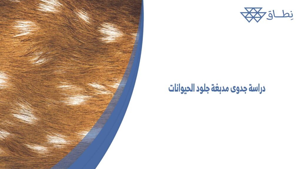 دراسة جدوى مدبغة جلود الحيوانات