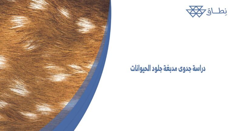دراسة جدوى مدبغة جلود الحيوانات