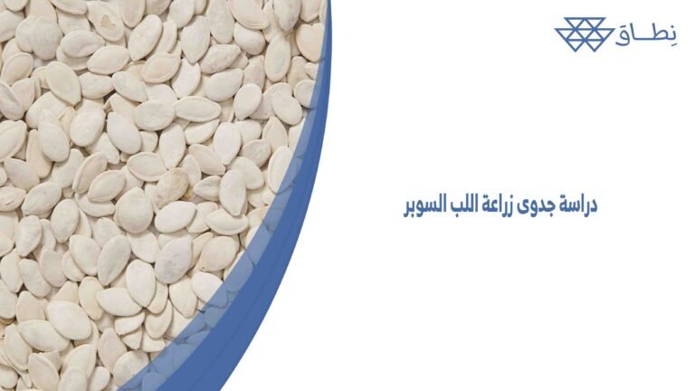 دراسة جدوى زراعة اللب السوبر