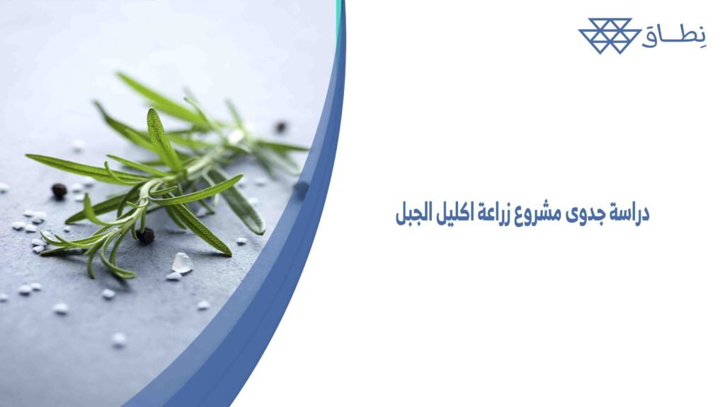 دراسة جدوى مشروع زراعة اكليل الجبل