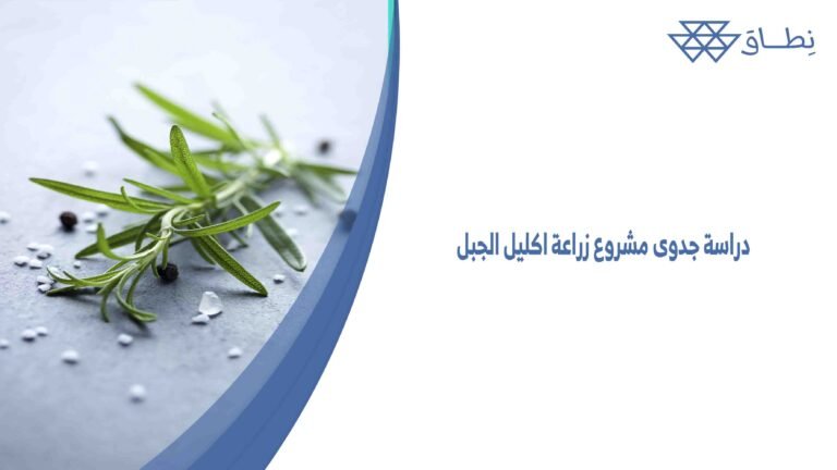 دراسة جدوى مشروع زراعة اكليل الجبل