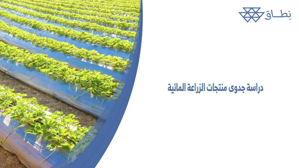 دراسة جدوى منتجات الزراعة المائية