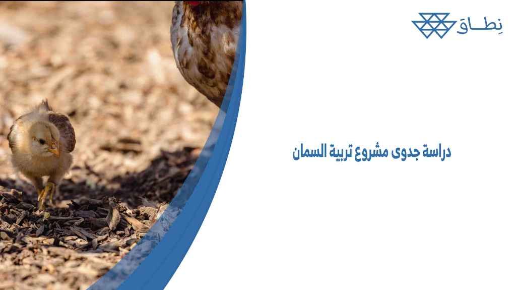 دراسة جدوى مشروع تربية السمان