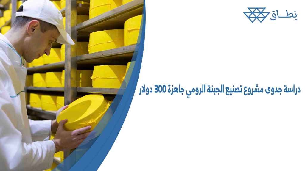 دراسة جدوى مشروع تصنيع الجبنة الرومي جاهزة 300 دولار