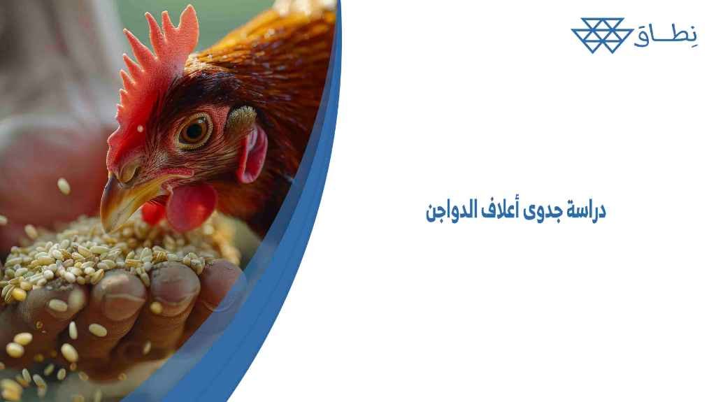 دراسة جدوى أعلاف الدواجن
