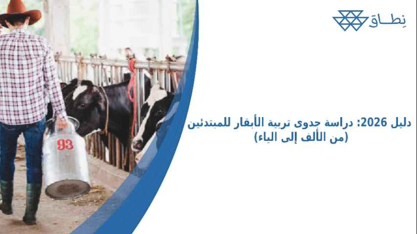 دليل 2026: دراسة جدوى تربية الأبقار للمبتدئين (من الألف إلى الياء)