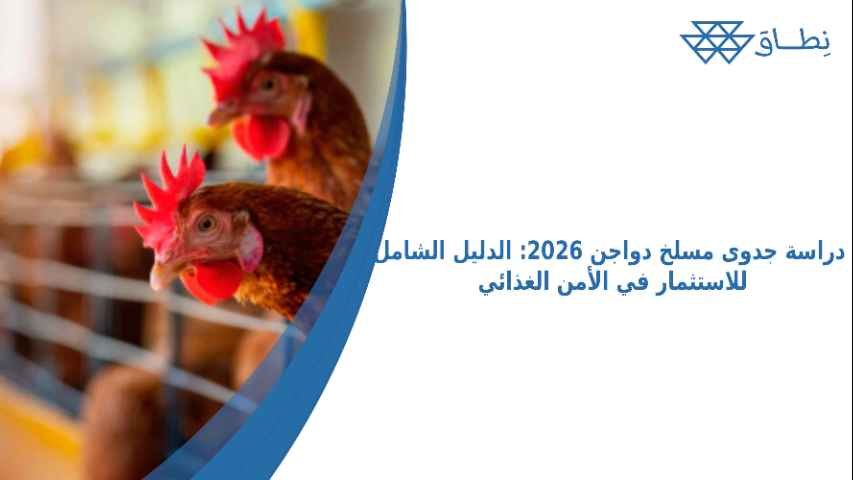 دراسة جدوى مسلخ دواجن 2026_ الدليل الشامل للاستثمار في الأمن الغذائي