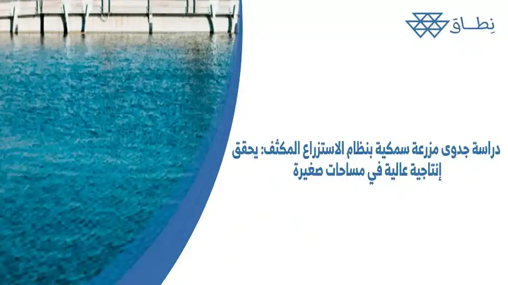 دراسة جدوى مزرعة سمكية بنظام الاستزراع المكثف يحقق إنتاجية عالية في مساحات صغيرة