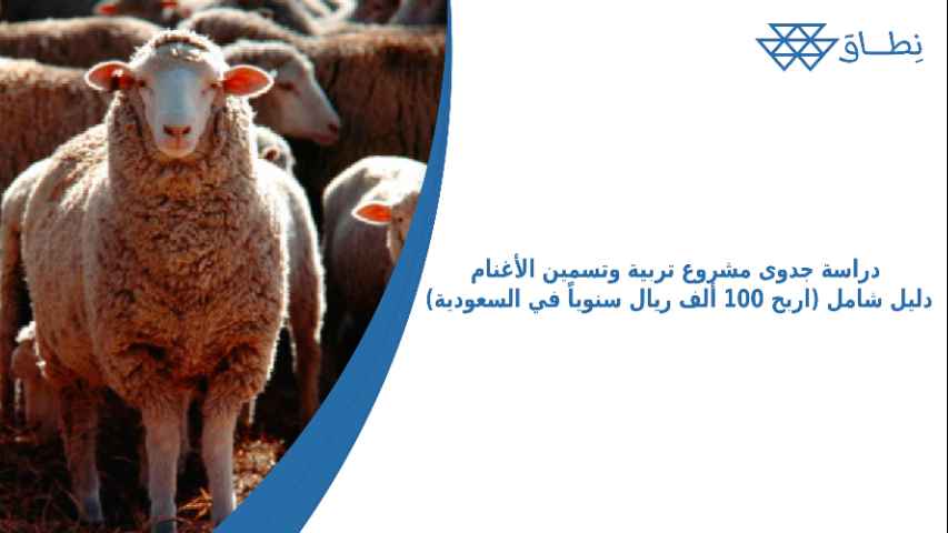 دراسة جدوى مشروع تربية وتسمين الأغنام دليل شامل (اربح 100 ألف ريال سنوياً في السعودية)