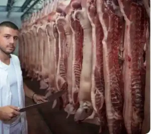 دراسة جدوى محل جزارة